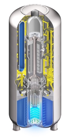 Westinghouse SMR CV and IRPV - 250